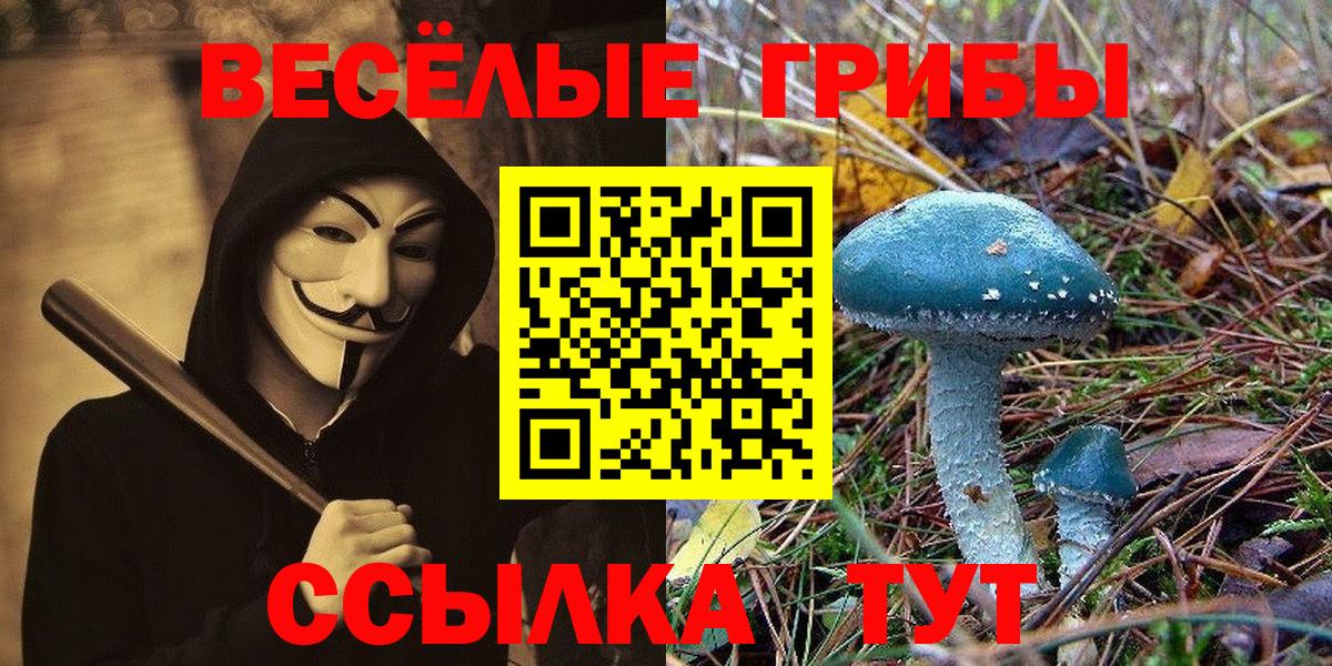 Псилоцибиновые грибы GOLDEN TEACHER  Галлюциногенные грибы прущие грибы  Будённовск  Вход с VPN 